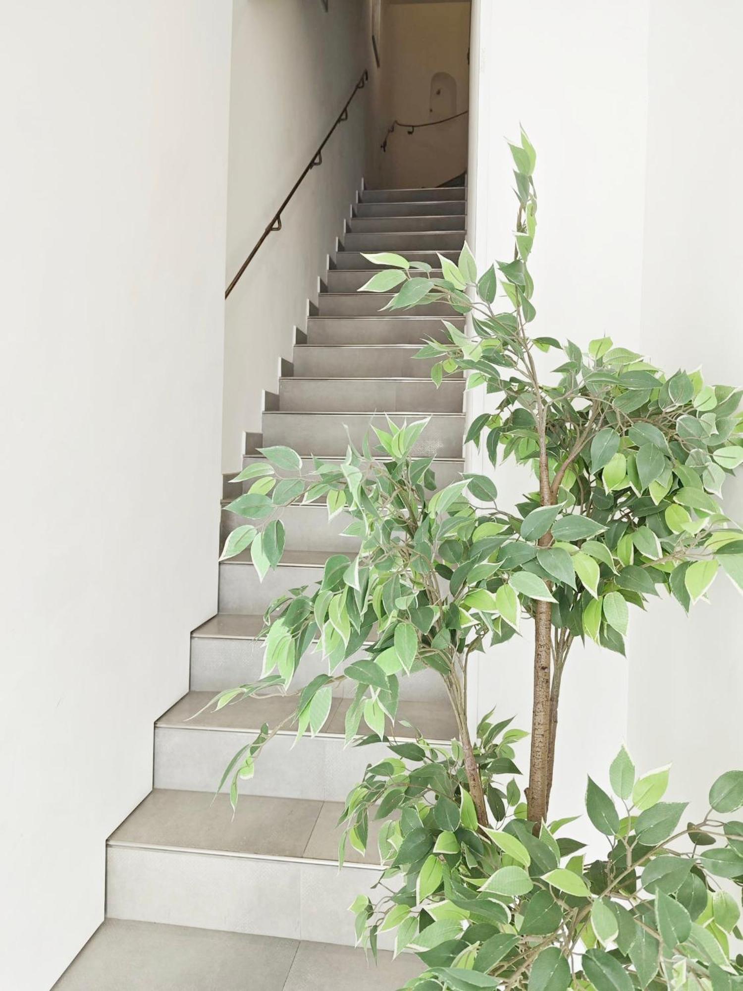 Mirabeau - Chambre Meublée Cassis Exterior foto