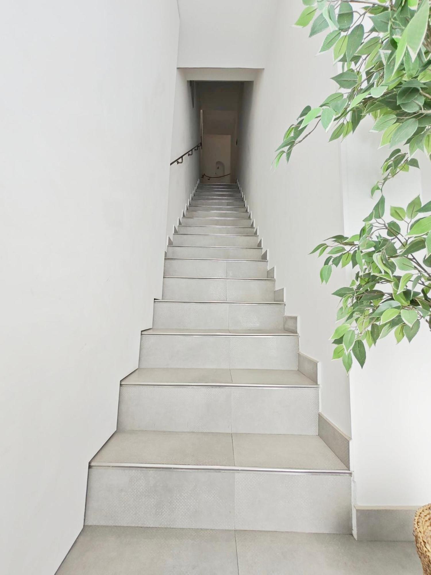 Mirabeau - Chambre Meublée Cassis Exterior foto